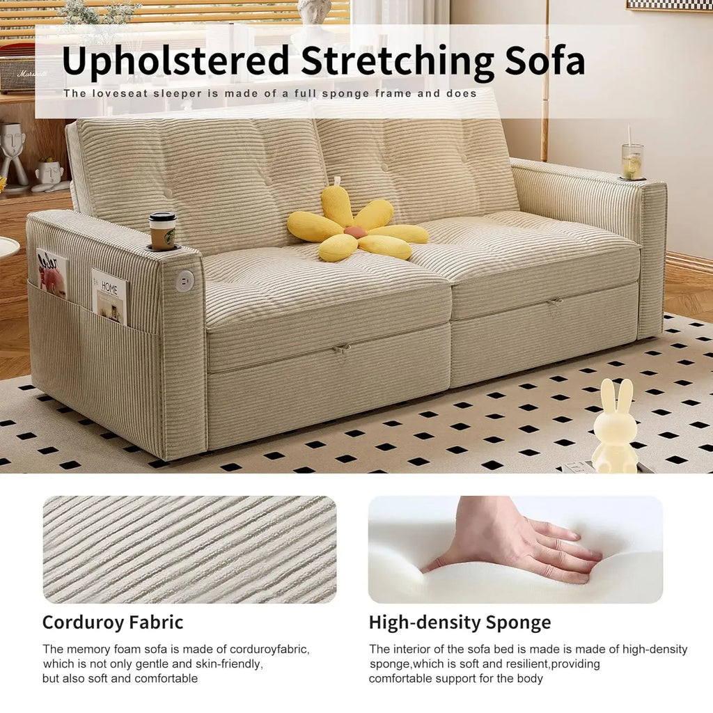 73" 2-Seater Queen Size Loveseat Sleeper Sofa, Pull Out Bed, USB