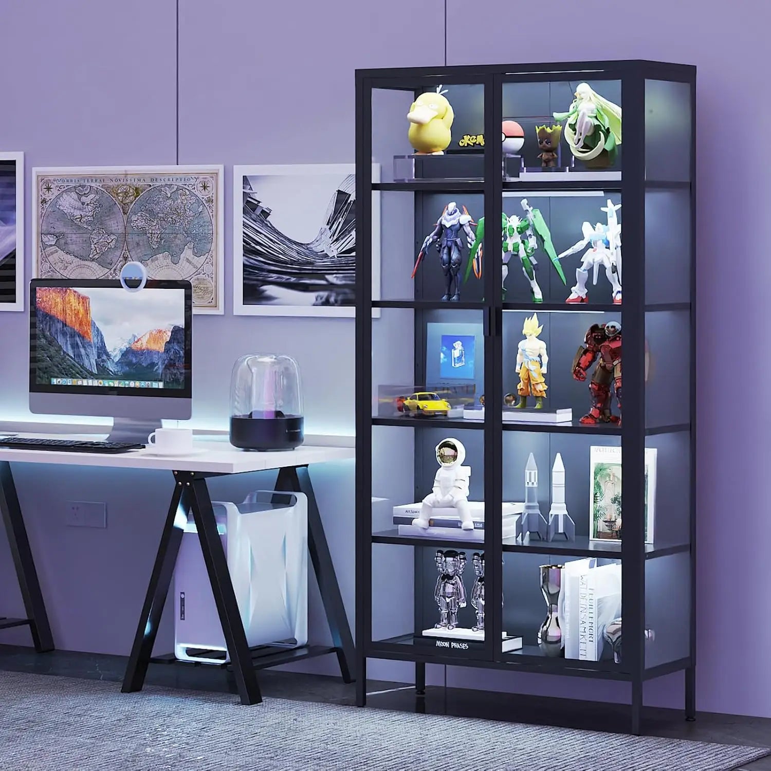 Glass Display Case, LED Lights, Adjustable Shelves