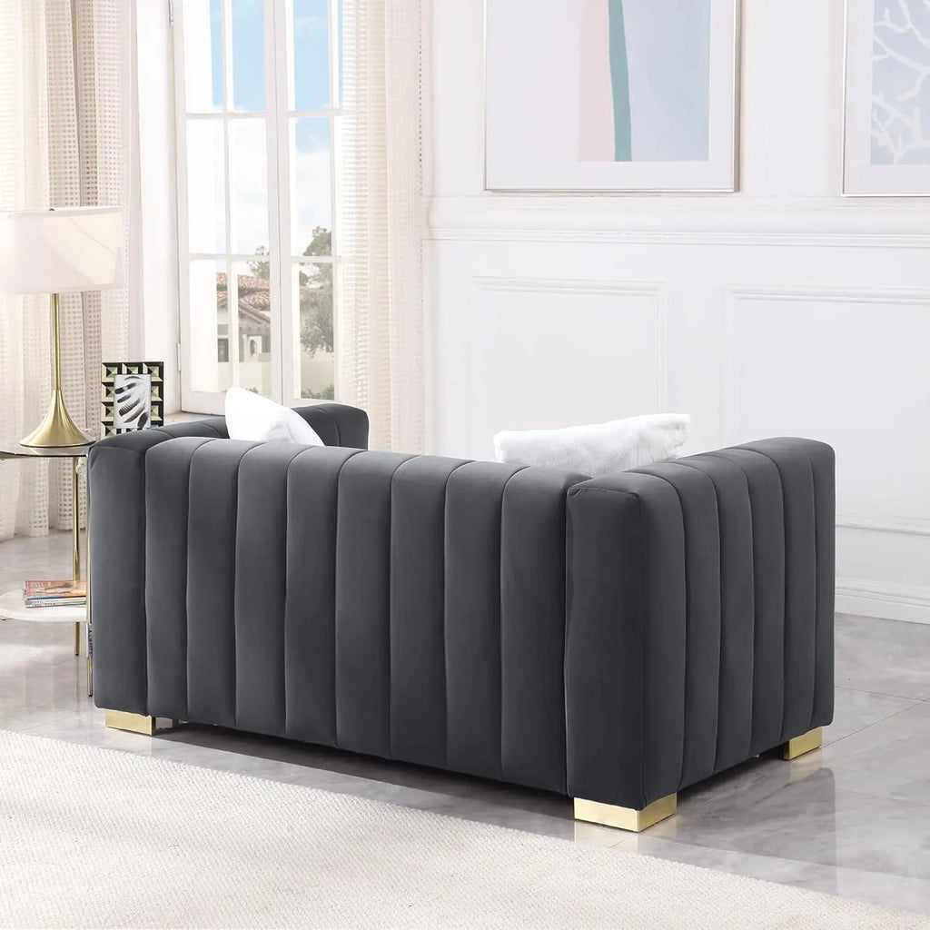 63'' Velvet 2-Seater Loveseat Metal Base Legs 2 Pillows