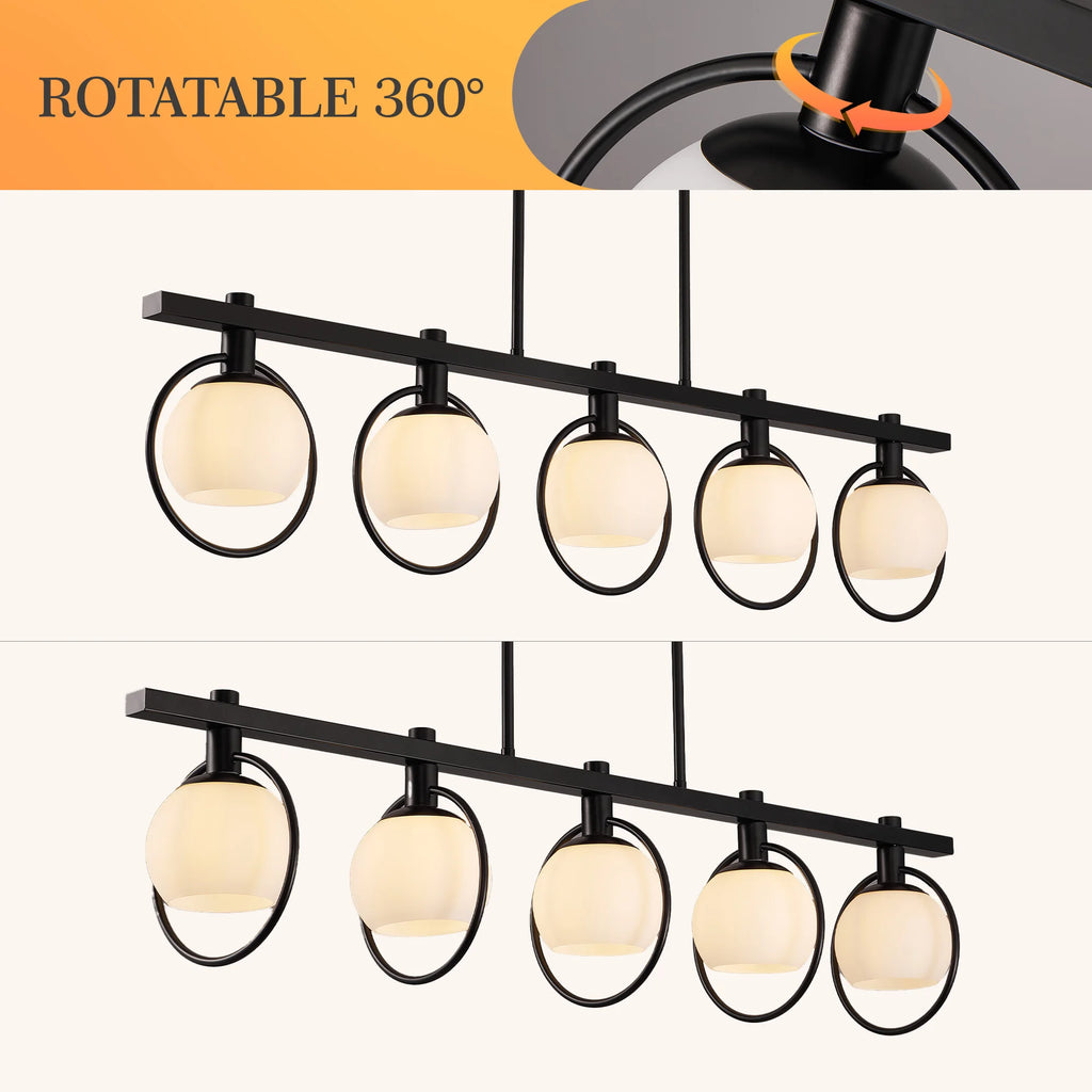 5-Light Adjustable Chandelier with Glass Shades Black Metal Frame