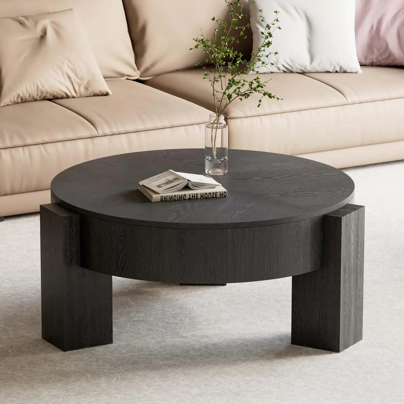 Modern Wabi-Sabi Style Circle Coffee Table Hidden Storage  Wood Center