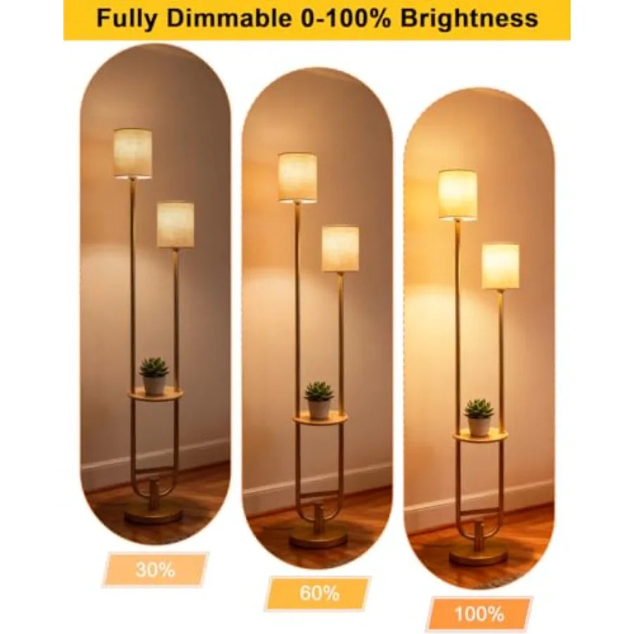 63Inch 2-Light Floor Lamp Dimmable Gold 5Lbs Heavy Base