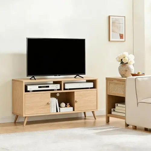 Modern Wooden TV Console For 40-65-Inch TV's, With 2 Cabinets