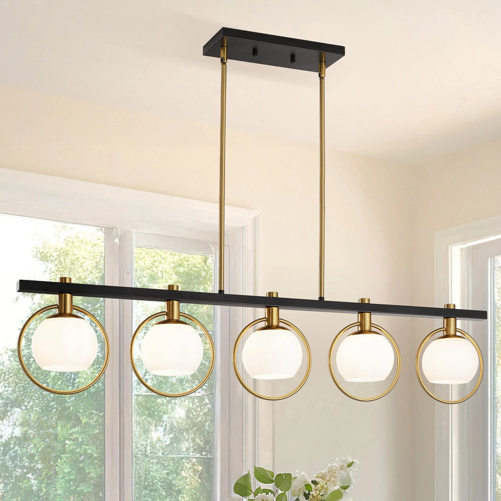 5-Light Adjustable Chandelier with Glass Shades Black Metal Frame