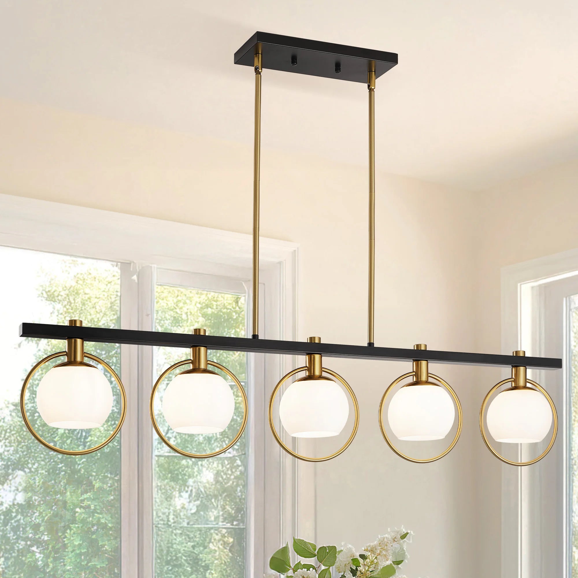 5-Light Adjustable Chandelier with Glass Shades Black Metal Frame