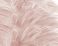 Cream Style Abstract Feather Flower Pattern Wallpaper European Wall mural