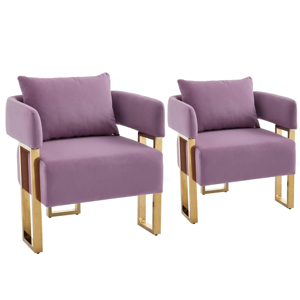 Barrel Accent Chairs 2pcs Upholstered, Gold Legs