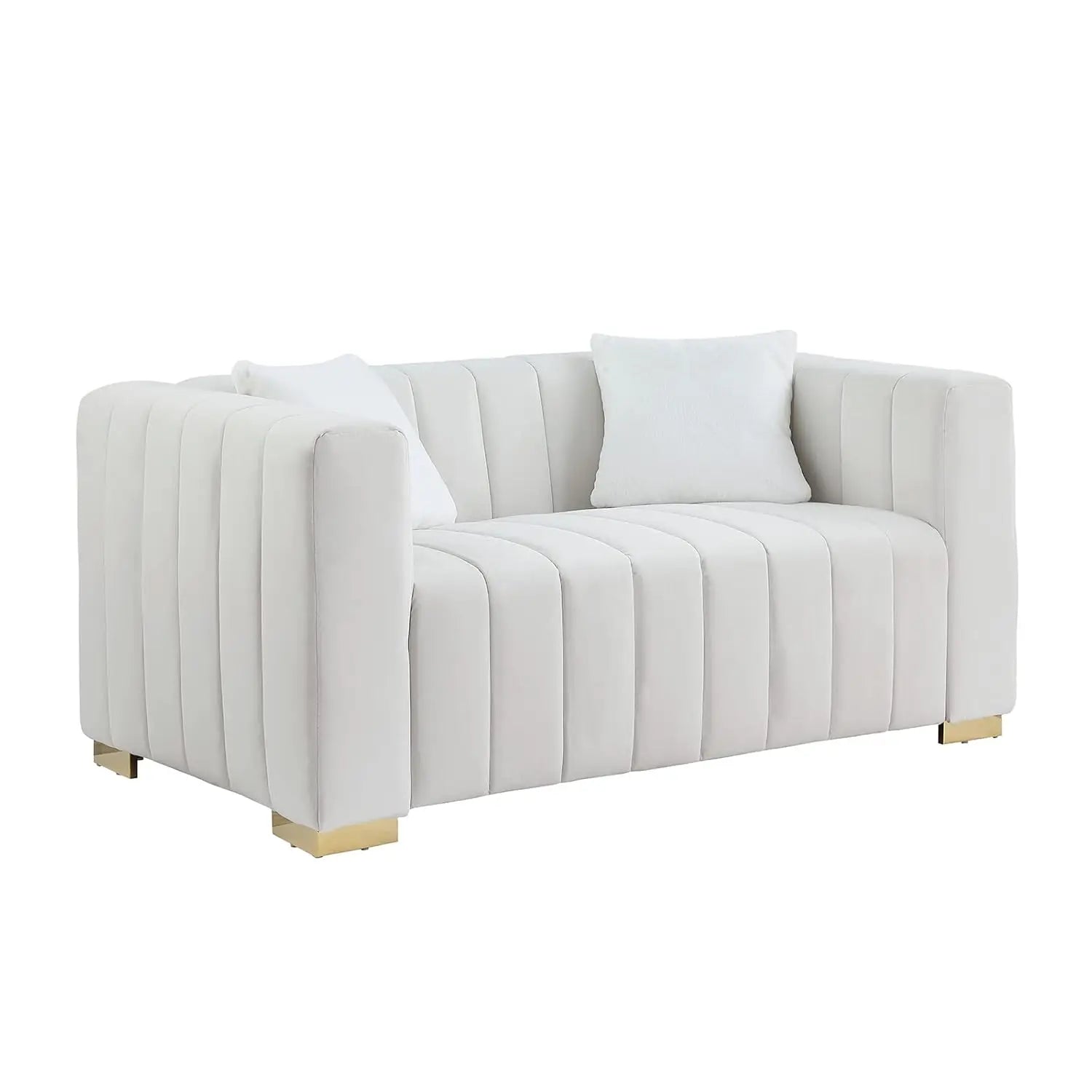 63'' Velvet 2-Seater Loveseat Metal Base Legs 2 Pillows
